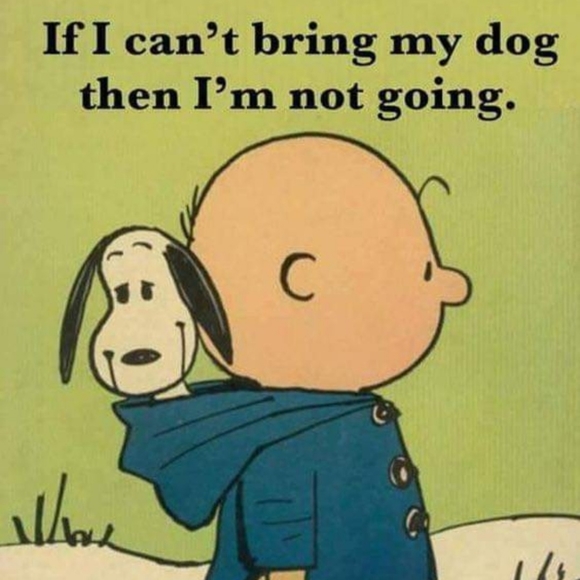 Meet your Posher. - Picture 1 of 1